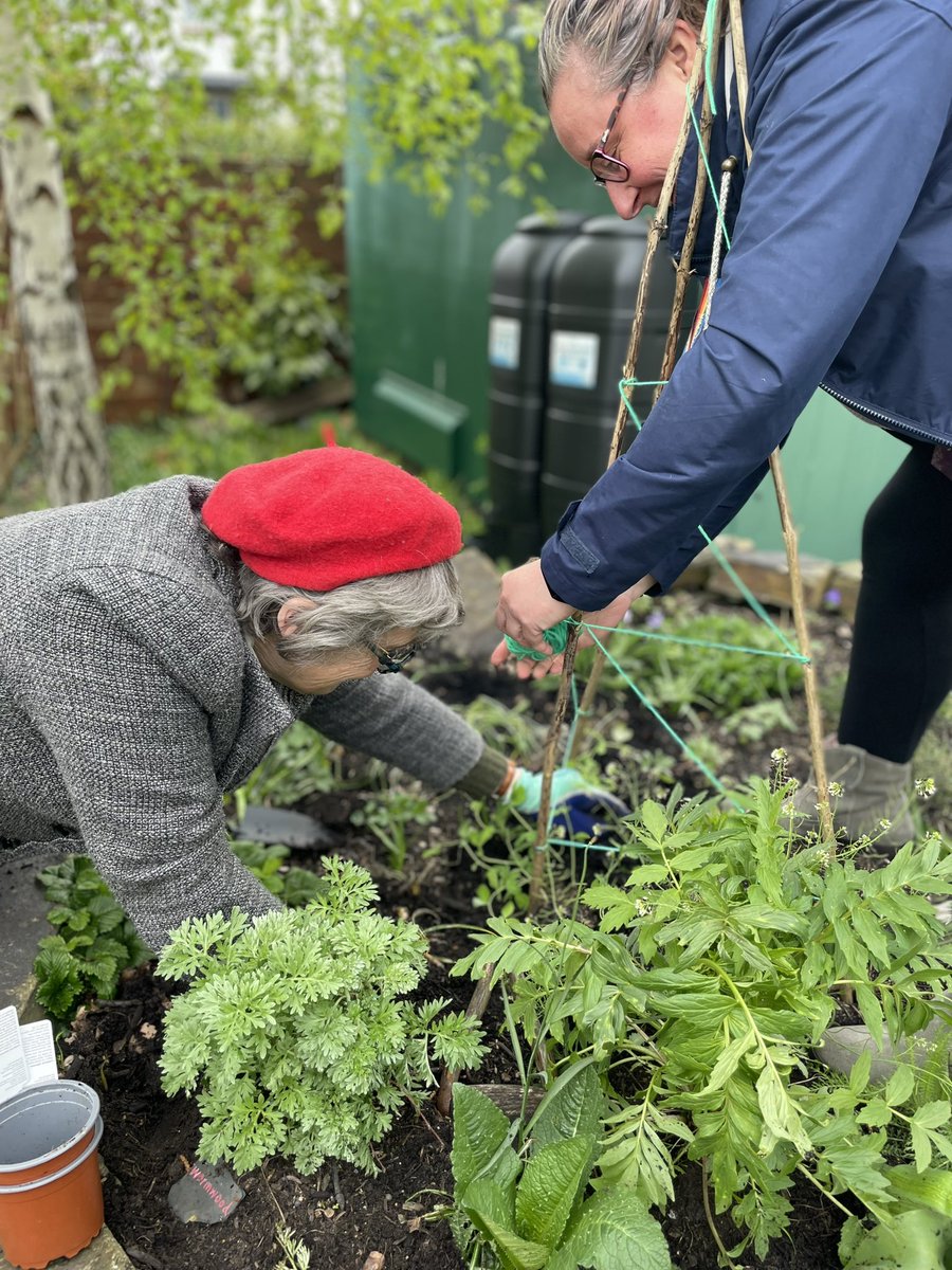 St Luke’s Volunteer Garden tweet media