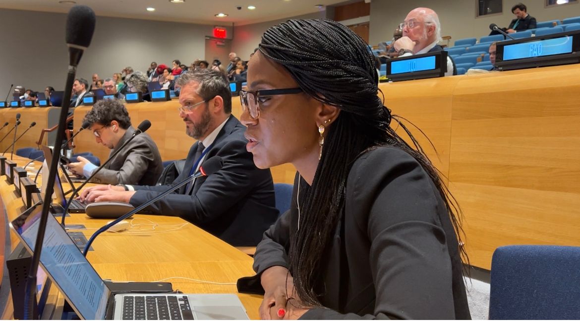 Today <a href="/chenaimukumba/">Chenai Mukumba</a> is a lead discussant on a panel on advancing international tax cooperation at the UN Financing for Development Forum. She has spoken powerfully on the need for a UN Tax convention. In reforms of the global financial architecture the UN remains very key.