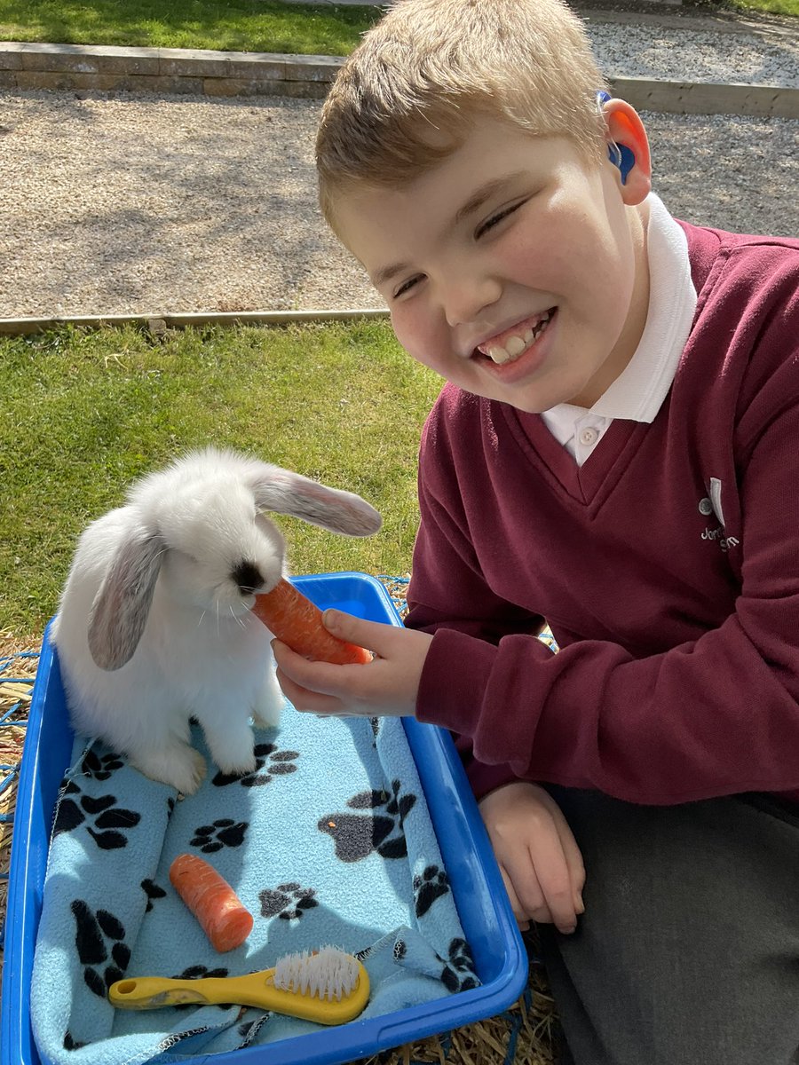 JordanstownS's tweet photo. @ANBorough Thank you for such a wonderful day in the new Sensory Garden in Antrim Castle Gardens ✨🐰🦙 https://t.co/eBQROzpGhk