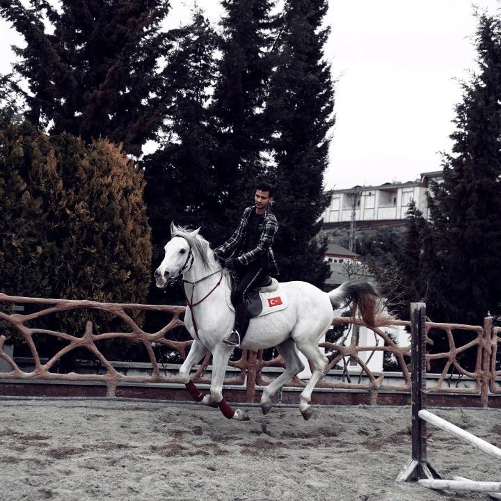 sevmutluol's tweet photo. Fotoğraf için teşekkür ederiz 😊
Fotoğraf sahibi İnstagram : bennkutayy

#satinalmasahiplen #hayvanlar #animals https://t.co/gjEIVZDVBE