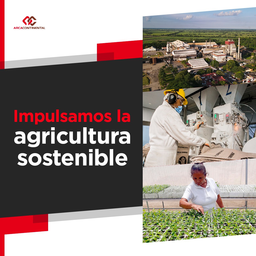 arcacontal's tweet photo. ¿Por qué es importante promover la sostenibilidad de recursos naturales como el agua y el suelo? 🤔 La construcción de un futuro sostenible requiere de acciones conjuntas para hacer la #DiferenciaPositiva por un mejor #PlanetaAC🌎 https://t.co/NAc0MtYk3r