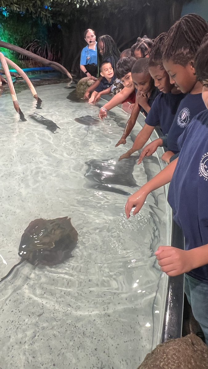 Msbjonesclass's tweet photo. Another #AweSTEM field trip experience for @Alexander_AISD second grade Ss! Their 1st time visiting Galveston Island! @MoodyGardens
@AliefScience @AliefISD
#STEMeducation https://t.co/Cm2DWImQDU