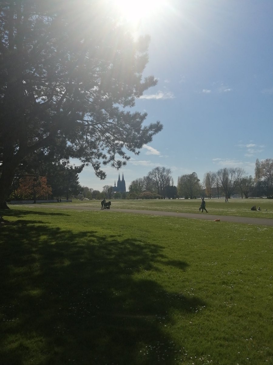 Nora Pond (@bums_gewitter) on Twitter photo 