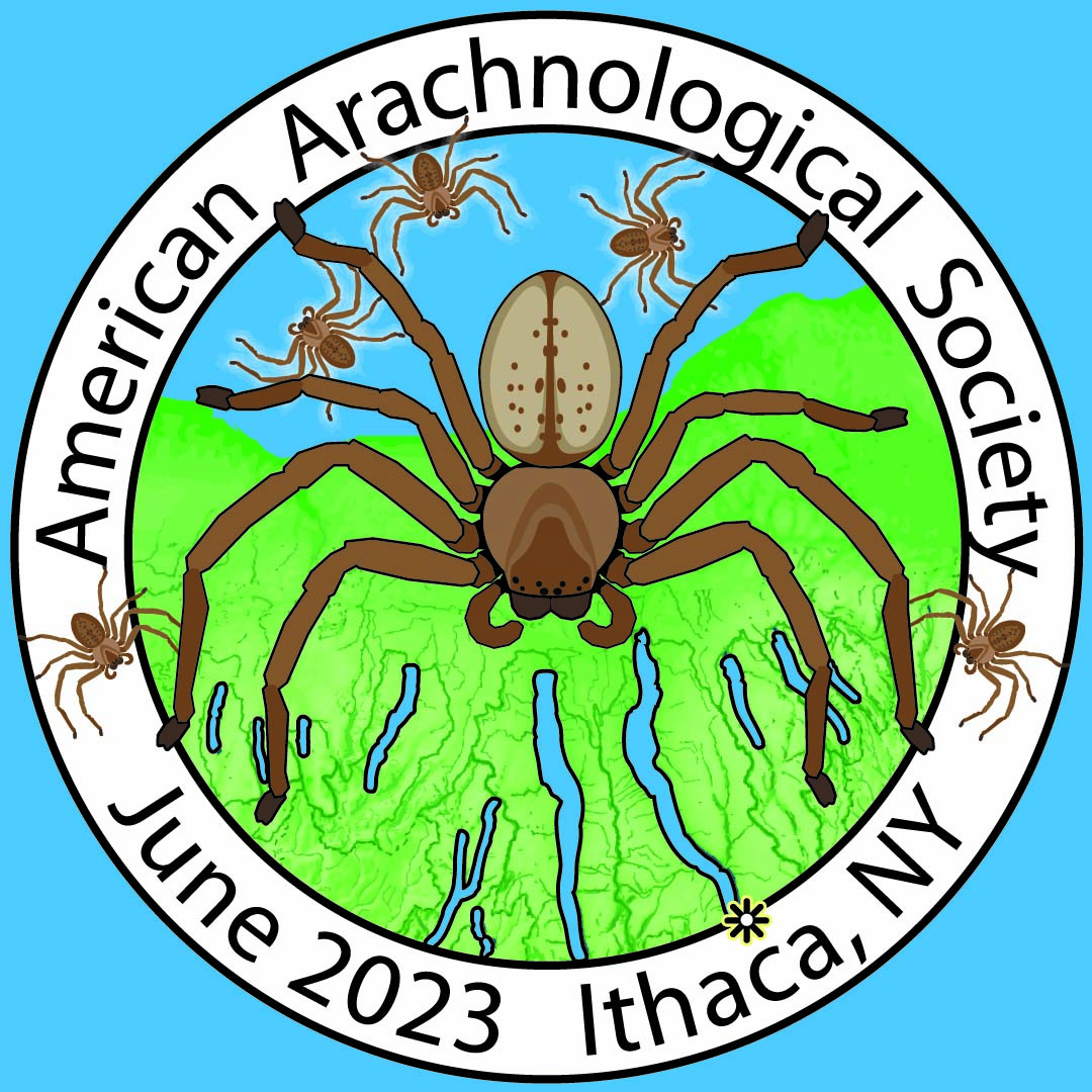 Registration & abstract submissions are OPEN for this year's AAS meeting (#arachnids23)! 
🗓️: June 25-29 @ Cornell University
📰: Abstracts (+ early registration) due June 5
⏰: Late registration til June 17
🌐: americanarachnology.org/aas-meetings/a…