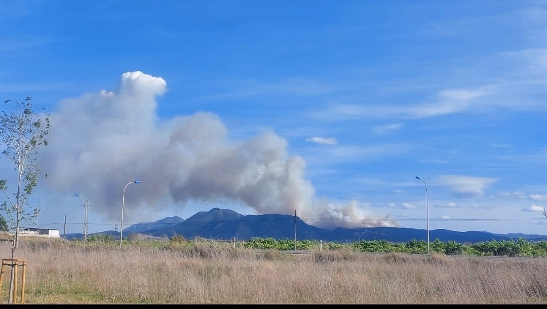 Nimodcal's tweet photo. @FChicoZamora @Fuego_lab @ferrandalmau78 @TotBomber @DM_Molina_T @emerprogram @S_FontsecaRiera @Alineacion3de3 @BombersValencia @GVAbforestals @david_gnomusy @rescodedios @PepeAlmodovar #ifAlzira de hace unos días, matorral de baja media carga pero con entrada de humedad por proximidad al mar, tuvo varias fases de formación y disipación de #pycu https://t.co/AfQjbSv9hg