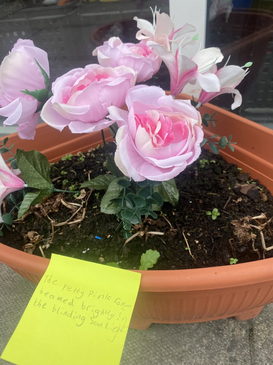 RPSinStirling's tweet image. Primary 6 enjoyed taking their learning on adjectives outdoors by describing what they could see in the school playground! #outdoorlearning #focusweek #creativelearning