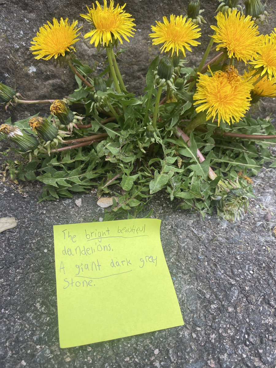 RPSinStirling's tweet image. Primary 6 enjoyed taking their learning on adjectives outdoors by describing what they could see in the school playground! #outdoorlearning #focusweek #creativelearning