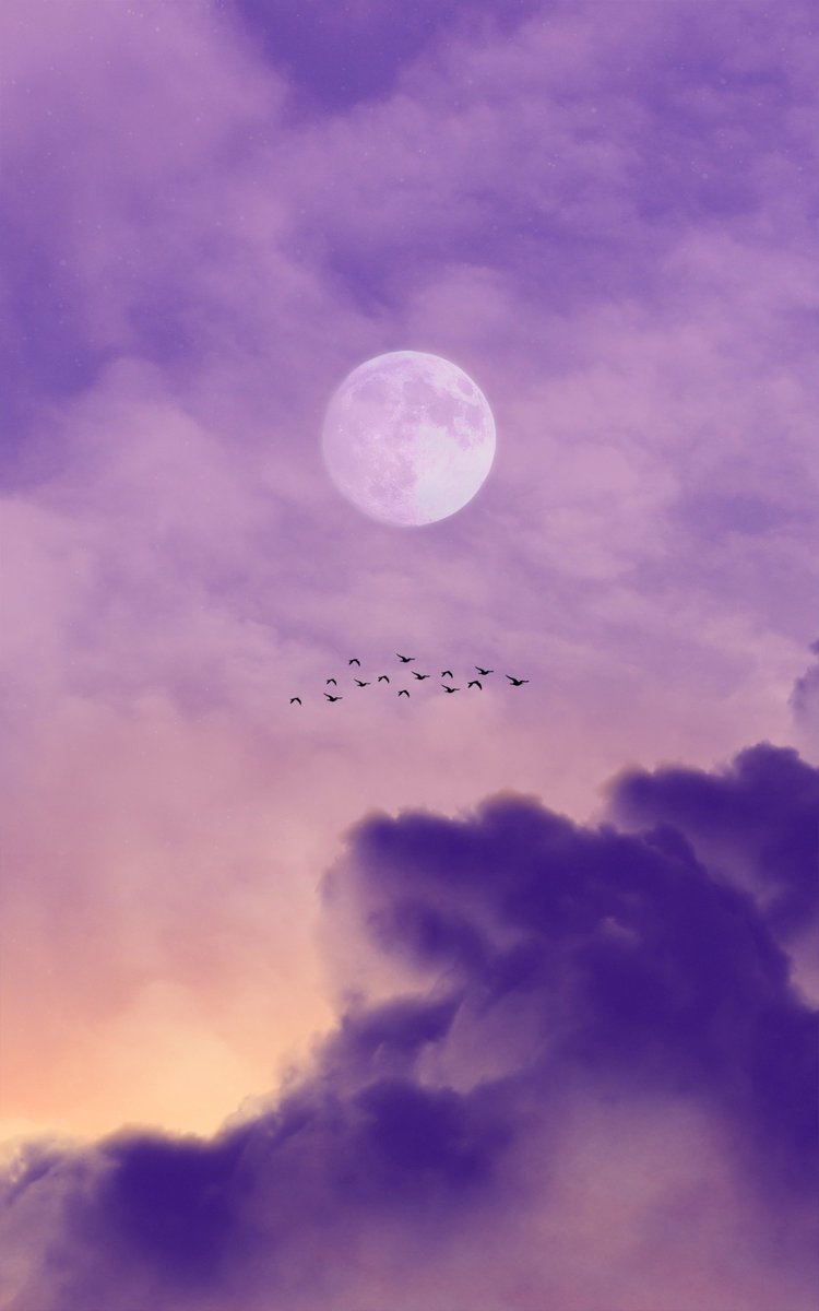 _eself's tweet photo. #DoseOfTranquility, 10" of Mindfulness
Breath in ~ • ~ Breath out
• let thoughts cross your mental plane
• emotions are alleviated
• enjoy the tranquil moment
#selfLab | @metaTherapies https://t.co/dMLeDlFg8c