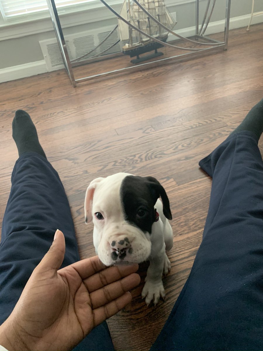 <a href="/Jaytoofay/">Jay ⤵️: Add one mana of any color</a>