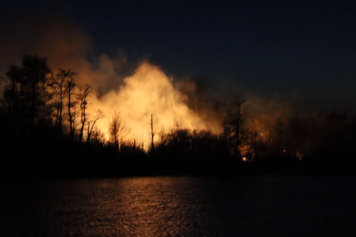112Steenwijk's tweet photo. Aan De Auken woedt een forse bosbrand. De brandweer is met meerdere korpsen aanwezig om de brand onder controle te krijgen. Later meer. https://t.co/wkeQeyFIpx
