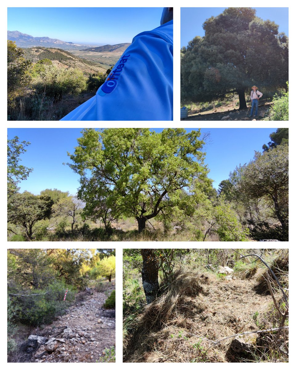 OFITEAT's tweet photo. El ser expertos en CATASTRO y GEORREFERNCIACIÓN, tiene sus recompensas. 🤩

A escasos 15km de Jaén, en el paraje de Puerto Alto, hemos disfrutado de unas vista excelentes de la capital. https://t.co/q4B2HWLDYL
