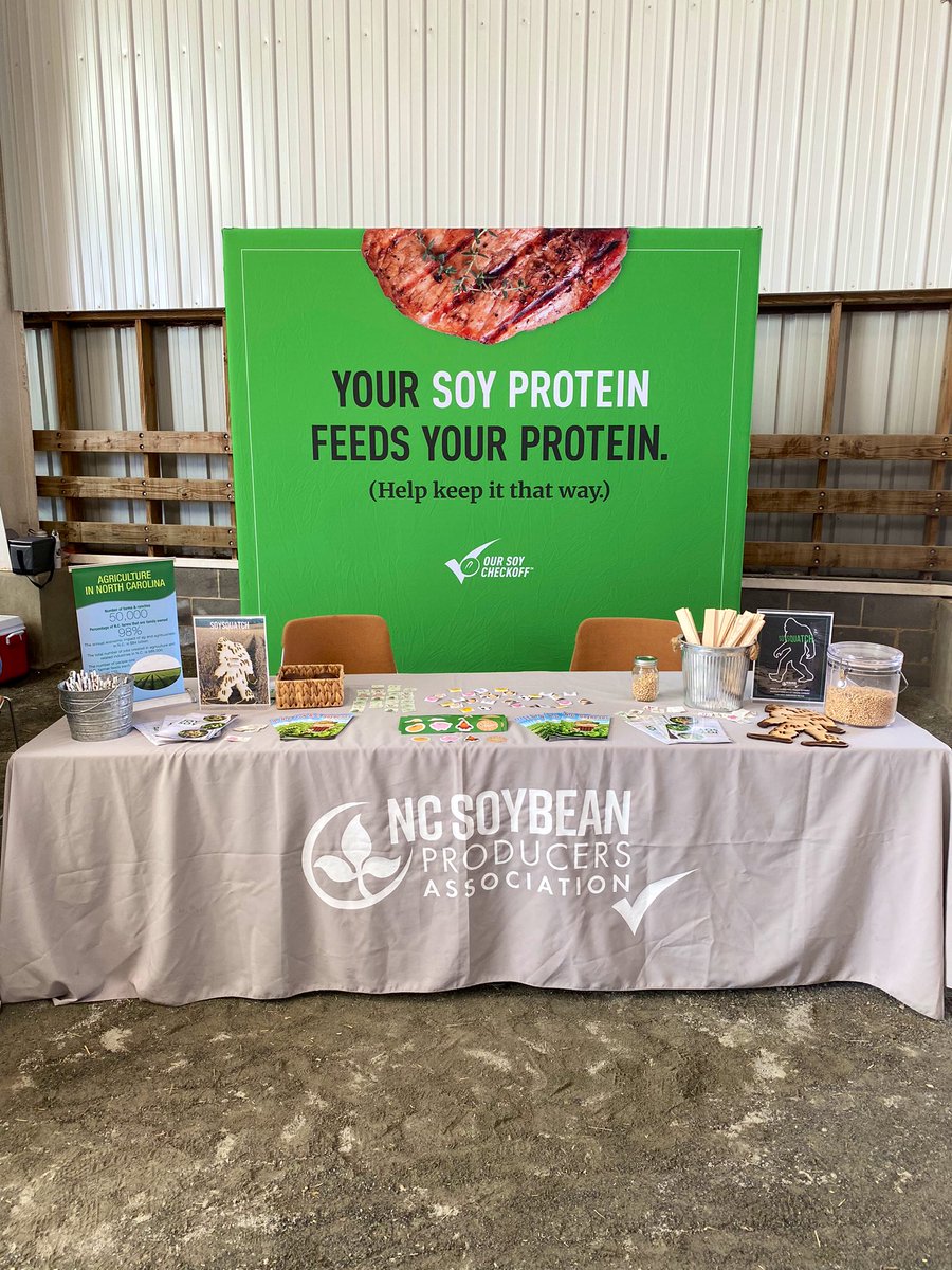 Kelly O’Reilly tweet media