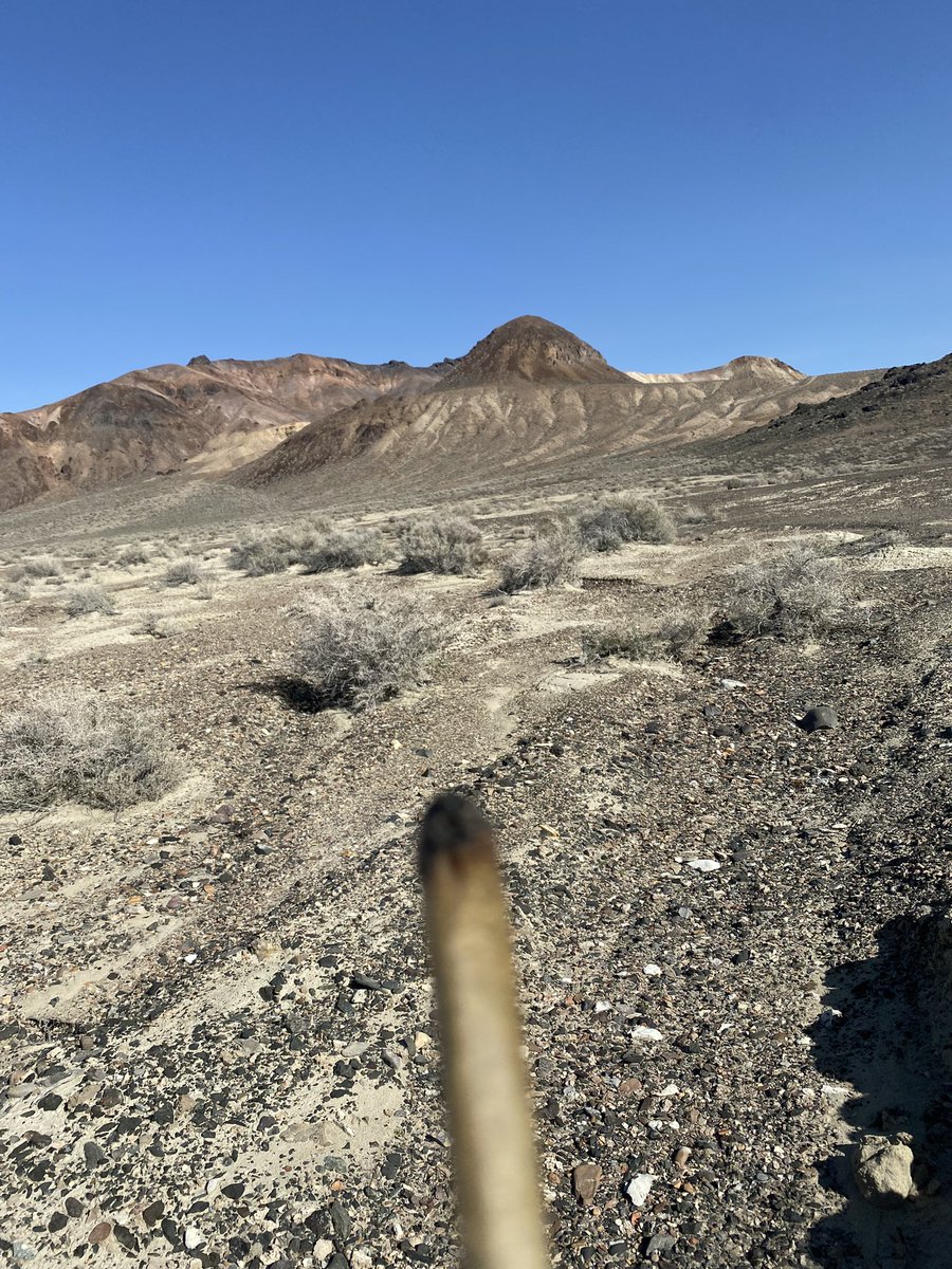 randomchance tweet media