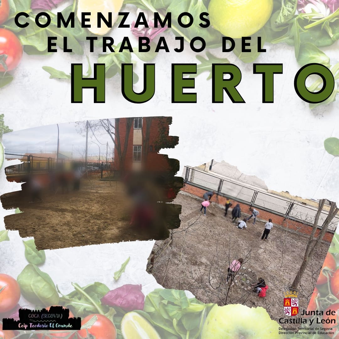 ceipteodosio's tweet photo. 𝗛𝗨𝗘𝗥𝗧𝗢 𝗘𝗦𝗖𝗢𝗟𝗔𝗥 🍅🥕🥒🍆

La semana pasada hemos comenzado de nuevo a preparar el terreno para comenzar a sembrar y recolectar todo lo que vaya creciendo.

#centroseducacyl #educacióninfantil #educaciónprimaria #escuelapública #huertoescolar https://t.co/nDwW4lNgHr