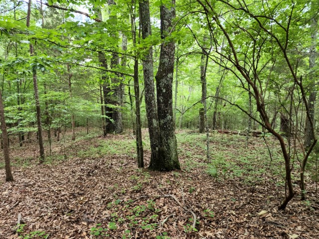 We are pleased to have represented the sellers in the sale of their 52 +/- acre family property on Hudson Road in Fountain Inn.  We appreciate the confidence the family placed in us to get the job done.  If you have land for sale in Upstate SC, call the us at 864-232-6922.
