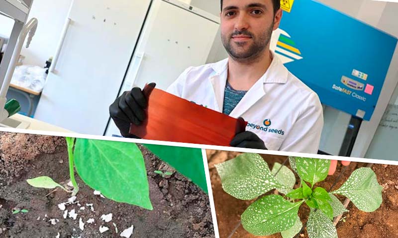 Khalatea's tweet photo. 🔝🔝Beyond Seeds desarrolla un nuevo #bioplástico vegetal🌱
https://t.co/9eg1RG3ibq

@beyond_seeds 

👉Agarene® puede ser utilizado en estado líquido o sólido

#innovación #investigacion https://t.co/s21rWXXuXu
