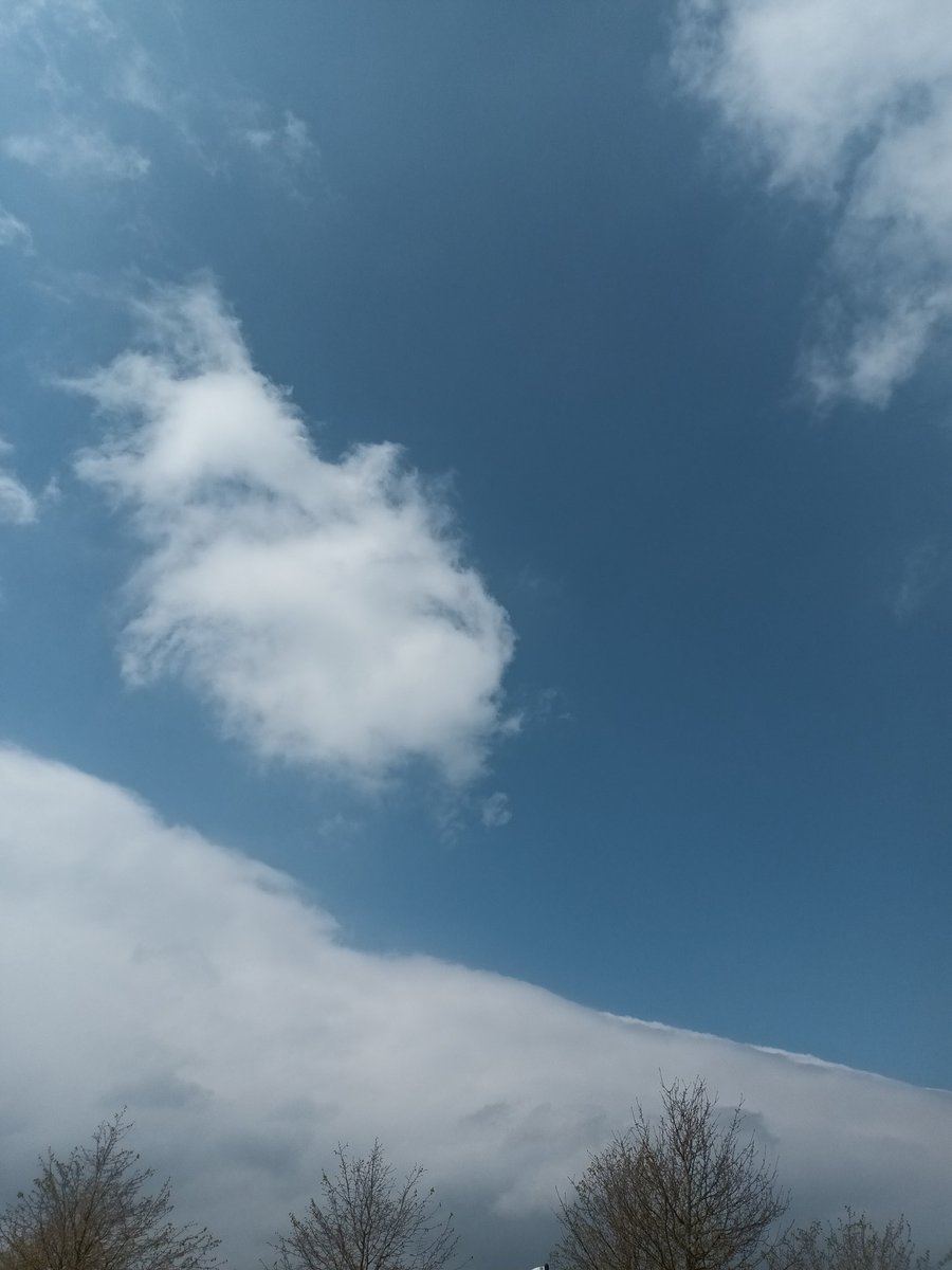 WildersLiz's tweet photo. #Day108 #Day838
#100daysofwalking #200daysofwalking 
 #round3crew @NTBreakfast #MentalHealthAwareness #Kildare  
First day without the boot so a short afternoon walk in the sunshine, cooler and breesier day. https://t.co/9t1hNo1jo6