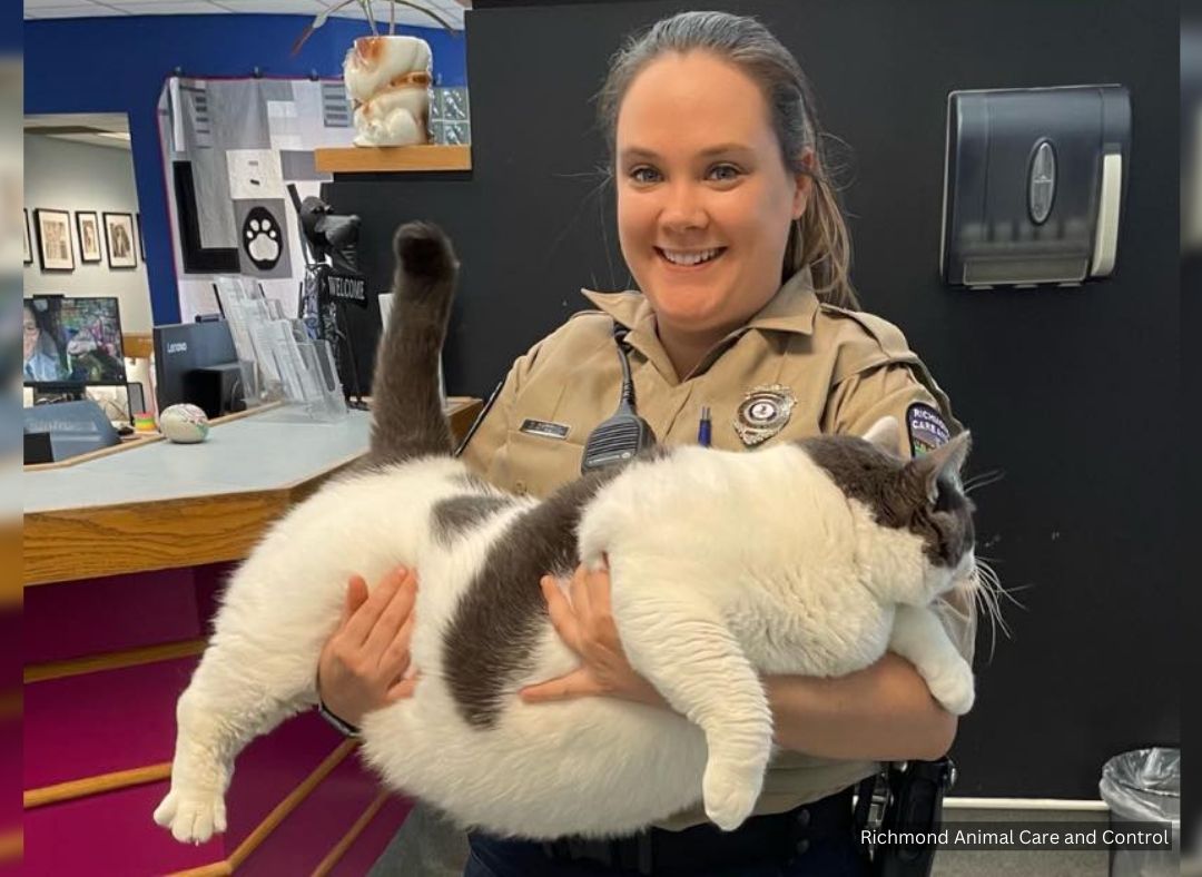 KRON4 News tweet media