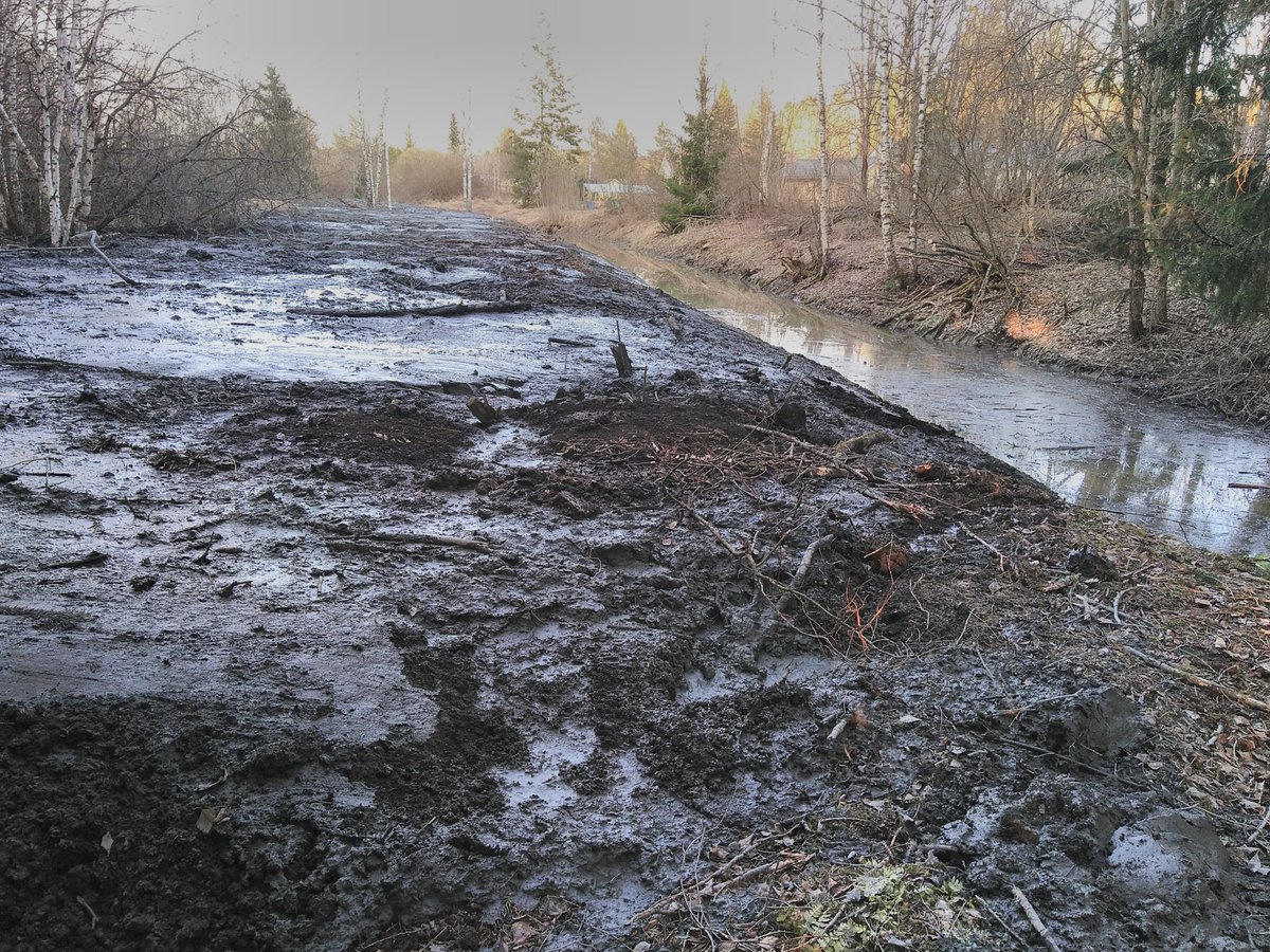 CelineArzel's tweet photo. So sad to witness that city strategic plans do not always match actions: @cityofturku water management actions contribute to #brownification #eutrophication and #pollution of rivers and ultimately of the #balticsea https://t.co/b7JQwlcvW3