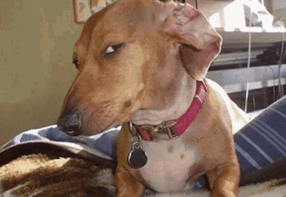 GratisStatus's tweet image. i see you. you better join the stream 

twitch.tv/gratisstatus