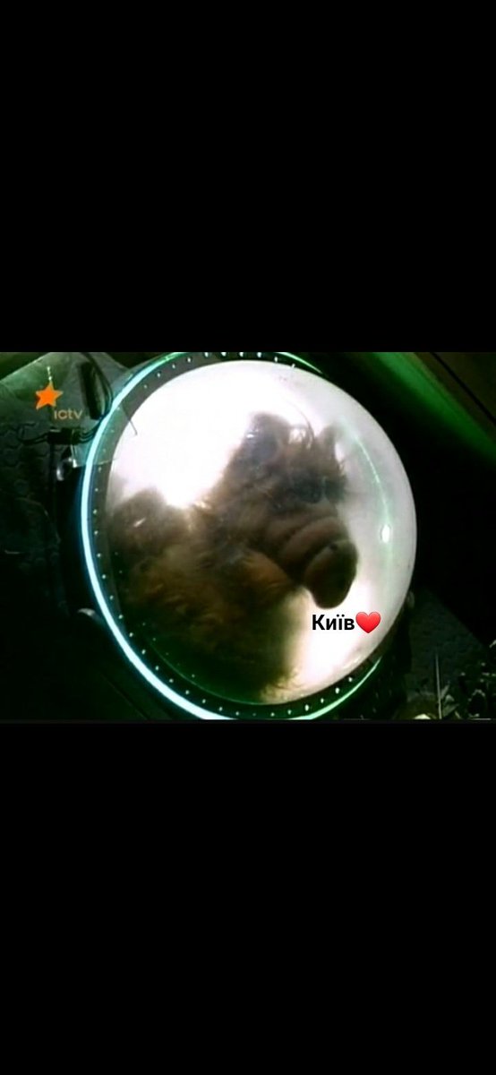 santa_144_'s tweet image. 