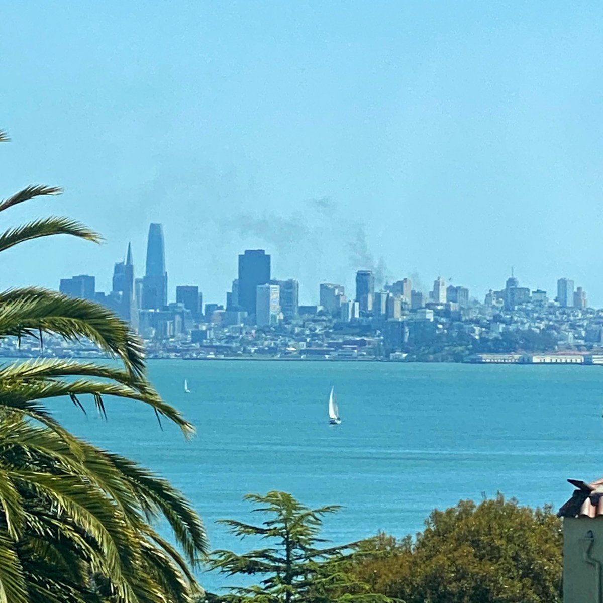 Fire in San Francisco visible from Sausalito right now