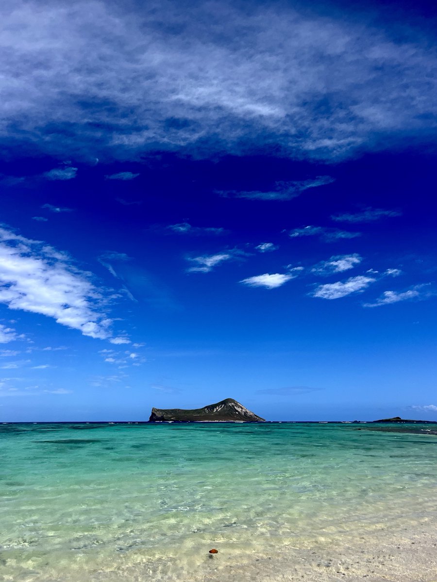 HAWAIIMagazine's tweet photo. We're spending our Wednesday in Waimānalo on Oʻahu. 🏖️ https://t.co/s5erCfFhho