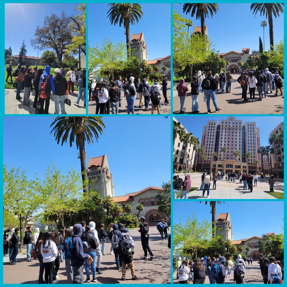 MDominguez_VVMS's tweet photo. 7th Graders exploring San Jose State University today 💙💛🙌 Vista Verde Middle School Grizzlies going places! 🎓💚🐻 #Spartans #SJSU #VVMS #Grizzlies @zjgalvan @GUSDEdServices @DesantosVNorma @B_DominguezVVMS @VillagomezMyra @VVMS_Principal @VistaVerdeGrizz https://t.co/XOgCqJn8am