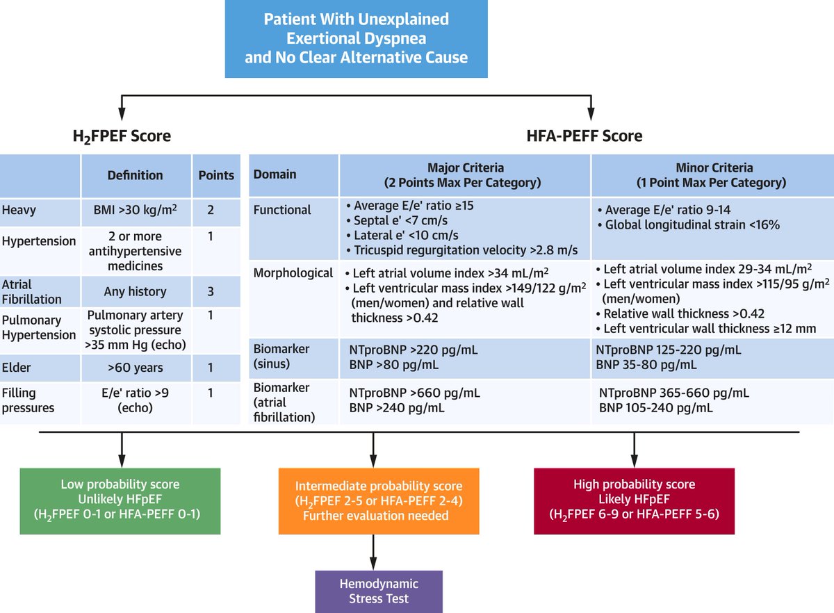 Diego Segura-Rodríguez tweet media
