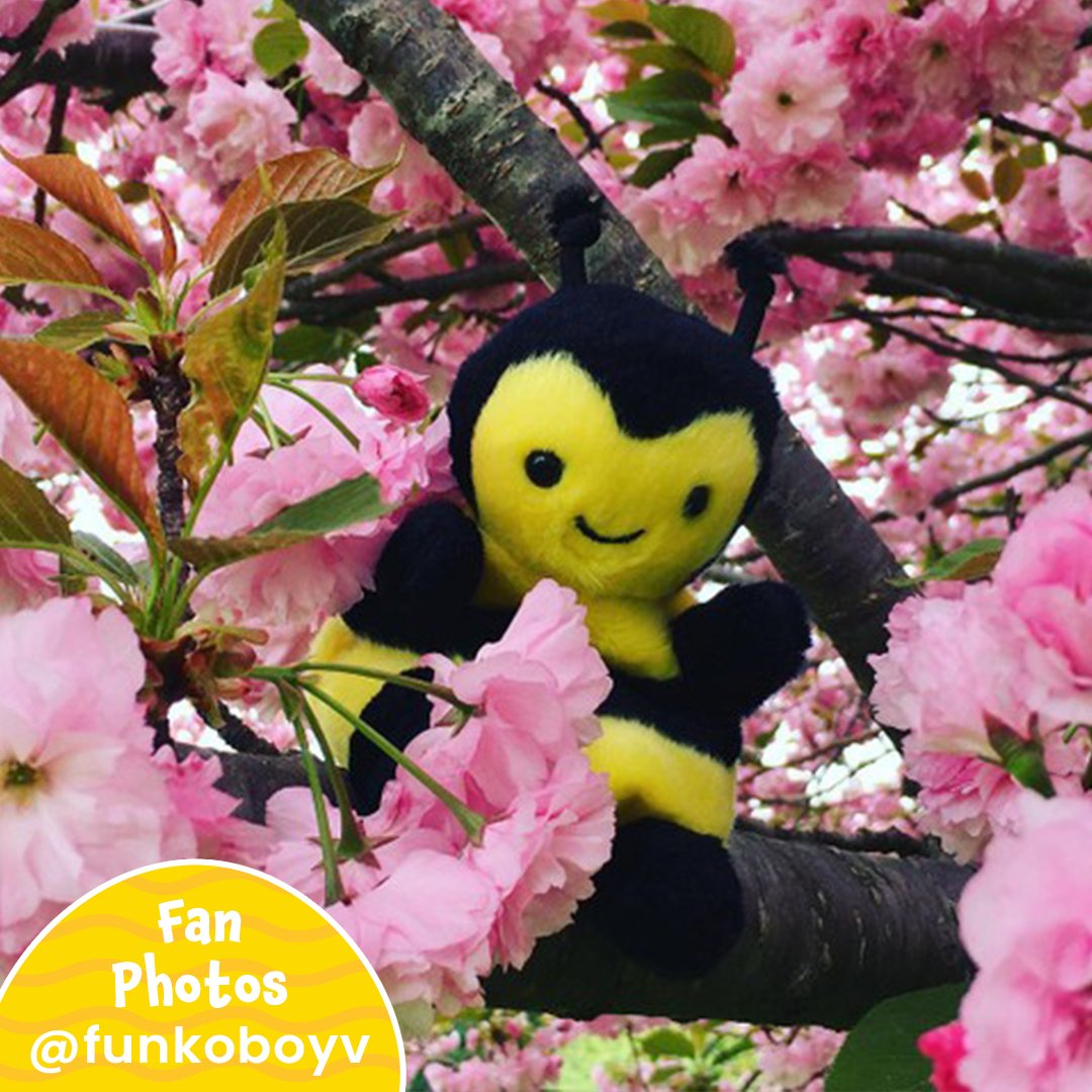 PalmpalsO's tweet photo. Bee-lieve in the magic of nature ๐ธ Thank you @funkoboyv, for capturing Queeny Bee in her natural habitat! Who else is buzzing with excitement for spring? โ๏ธ๐ป
#palmpalsparty #palmpals #plushies #plushlife #plushieslife โ
#cuteplush #fanposts #fans #fanlove #bee #spring https://t.co/eQqSdto00m