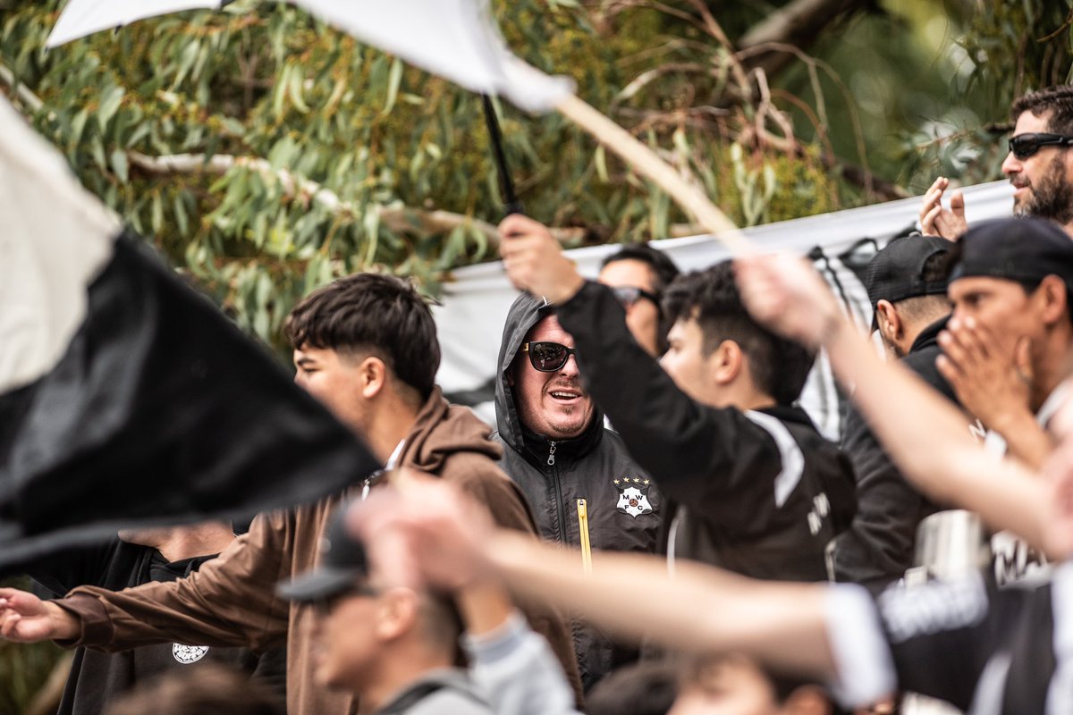 Martin Cabanelas tweet media