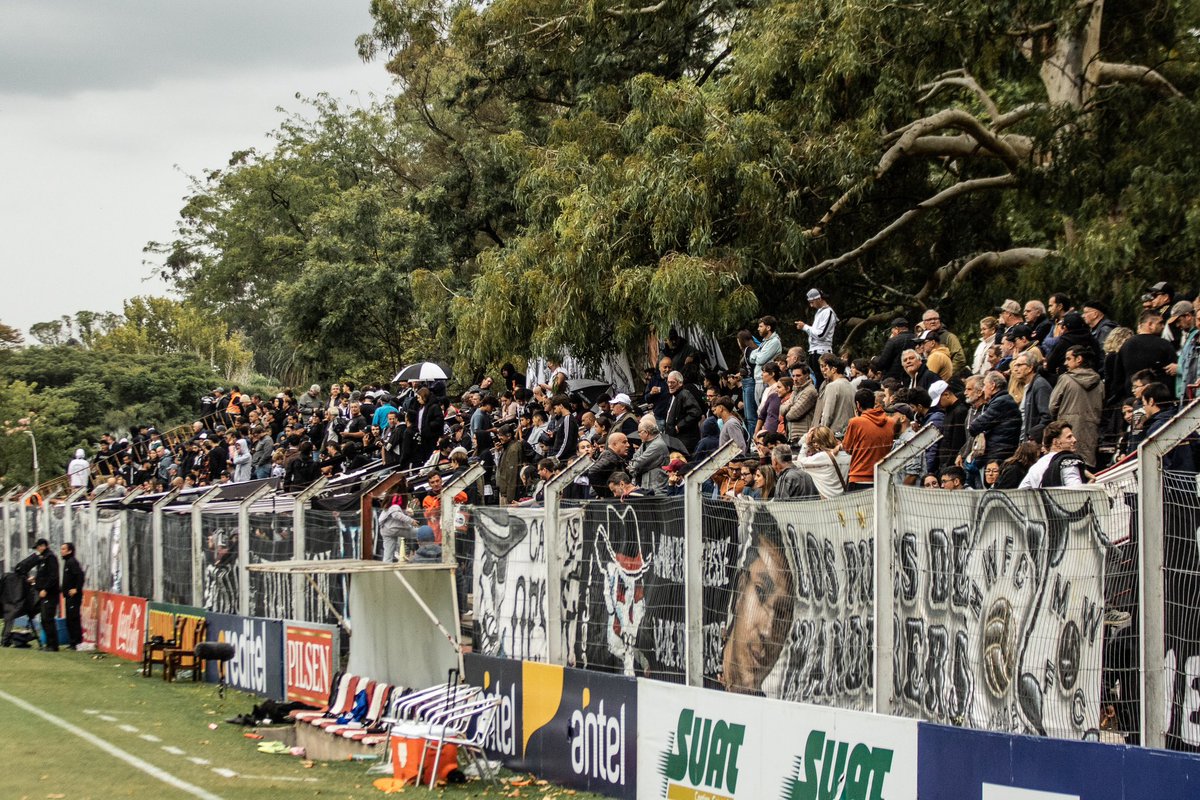 Martin Cabanelas tweet media