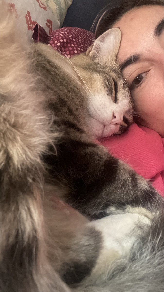 Fruticienta's tweet photo. Si ves este tuit, cítalo con la foto más reciente que le hayas tomado a tu peludito. Sin hacer trampa. ❤️ https://t.co/meuVRM9mmU