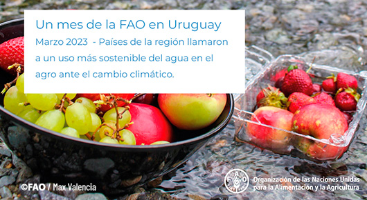 FAOUruguay's tweet photo. 🗞️Salió el boletín de la @FAO en Uruguay🗞️

✳️Cumbre de @ONU_es y #DíaInternacionaldelAgua
✳️ @ConcienciaAgrop y salud de los suelos
✳️#MujeresRurales género y cooperación con Uruguay

🔎Ver➕👇🏽
https://t.co/J10YLmPlWZ

💡Recibir los próximos 📩👇🏽
https://t.co/tmEHB2t4bF https://t.co/LhBdJ93K6x
