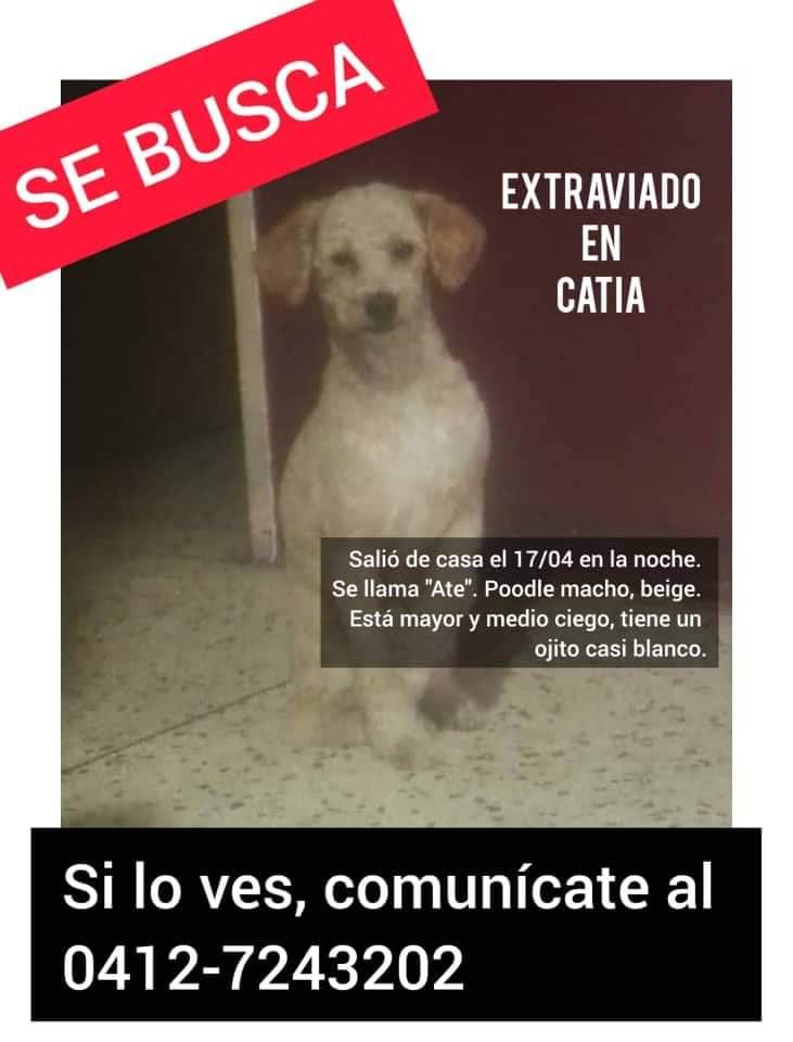 #Difundimos Su familia lo busca,  Catia Caracas