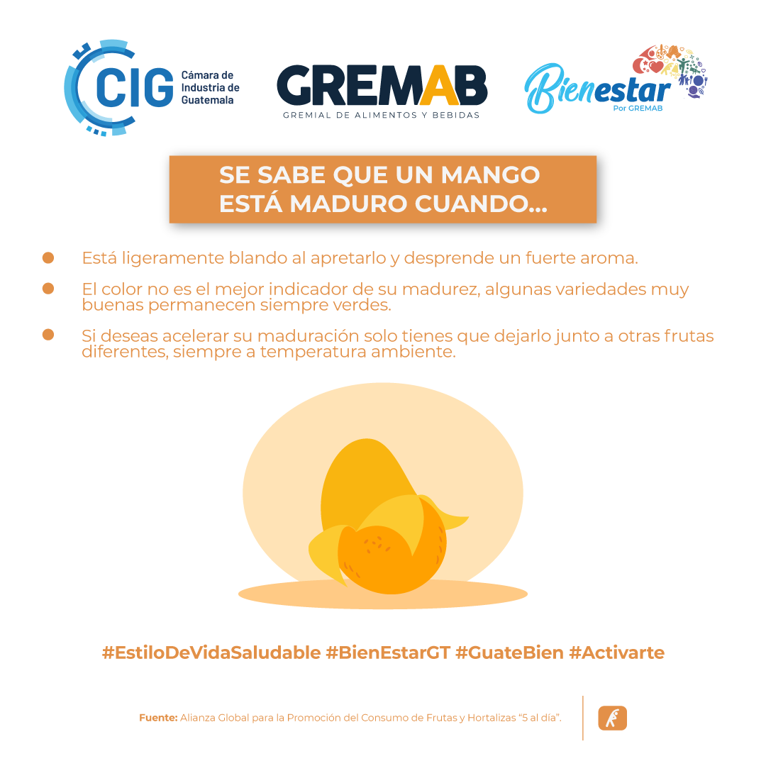BienestarGuate's tweet photo. #Activarte | Estilo de vida saludable 🤸♀️
La llegada del verano trae consigo una temporada de frutas refrescantes, entre ellas el mango, también llamado “melocotón de los trópicos”.
#Activarte #BienEstar #BienEstarGt #VidaSaludable
@industriaguate
@Gremabgt https://t.co/C11PVki9Kk