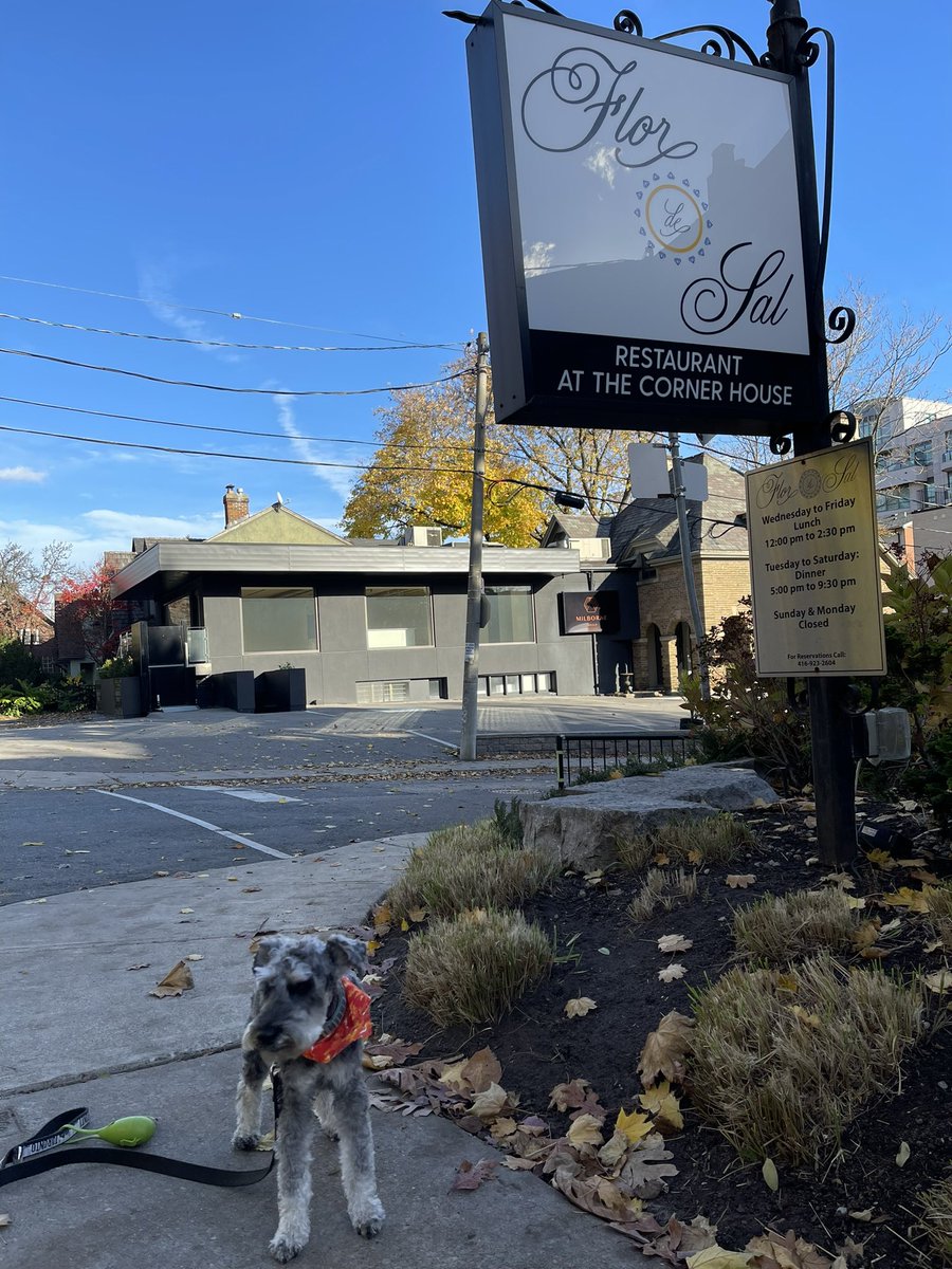 WouldStaley93's tweet photo. Sun is shining ๐ god how I wish you were still here w me @Bodominischzr I wish we could go for our routine walks.I miss hanging out with you.I miss everything about you in my life buddy @Bodominischzr #gonetoosoon #schnauzergang #schnauzersforever #minischnauzer #RIPBodo ๐๐ถ๐ https://t.co/l3UVv5DQH0