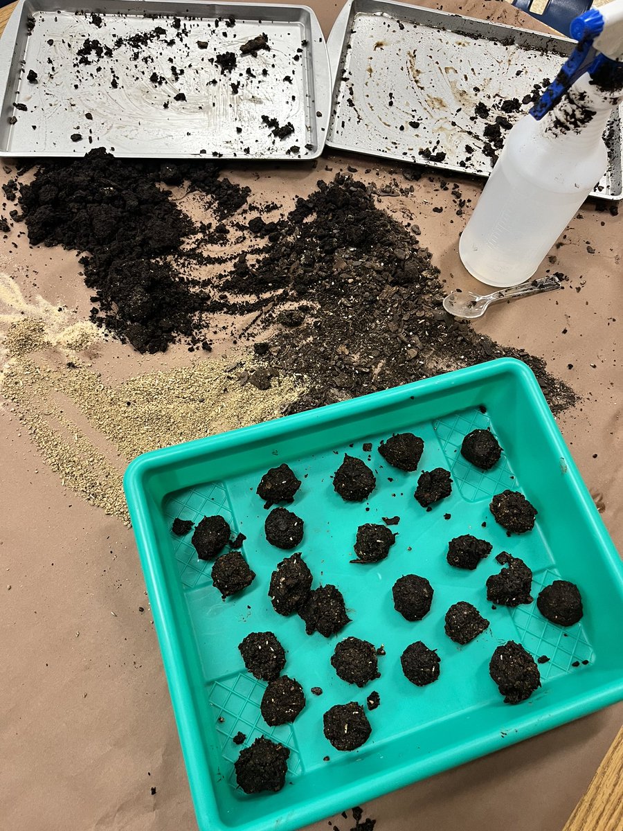 Mrs. Kotowski tweet media