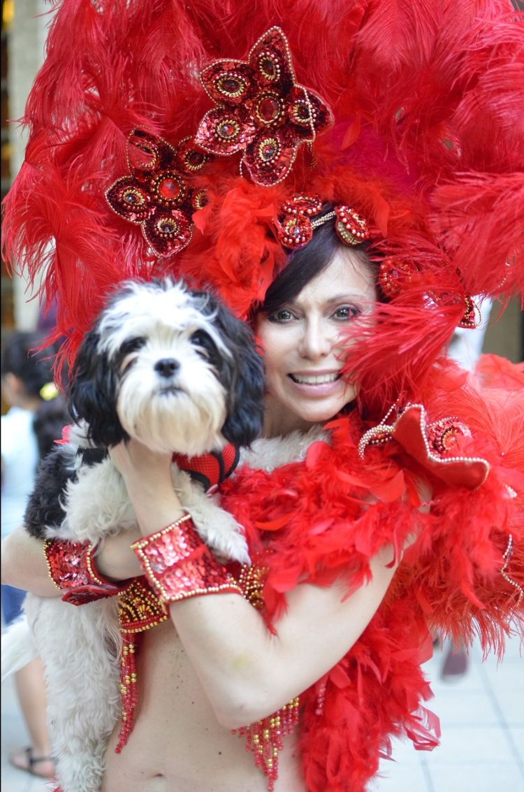 Two Local Pet Friendly Events -Mardi Paws Pet Parade and Annandale's Favorite Pet Contest! Fun, Fur, Feathers, Beads &amp; Barks! - mailchi.mp/chicosnaturalp…