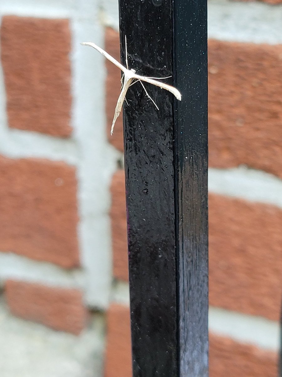 FitnessNever's tweet photo. What in the world is this???? #ihatebugs https://t.co/BY1iCVuzb8