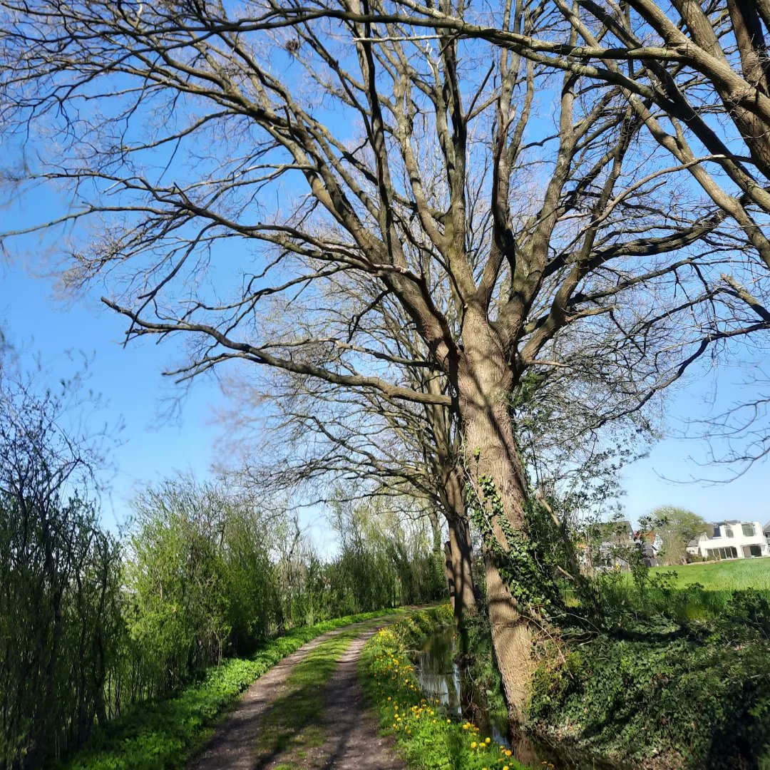BrigitteCuyvers's tweet photo. Went for a run. Just 4k. Running, walking, running,... #MPC #belgianpeakersunited #runpeakerrun #roadtrippeakers #mypeakchallenge https://t.co/O1wu33qErt