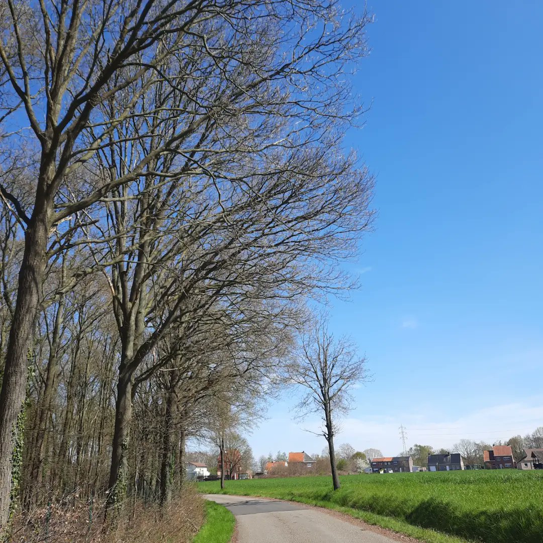 BrigitteCuyvers's tweet photo. Went for a run. Just 4k. Running, walking, running,... #MPC #belgianpeakersunited #runpeakerrun #roadtrippeakers #mypeakchallenge https://t.co/O1wu33qErt