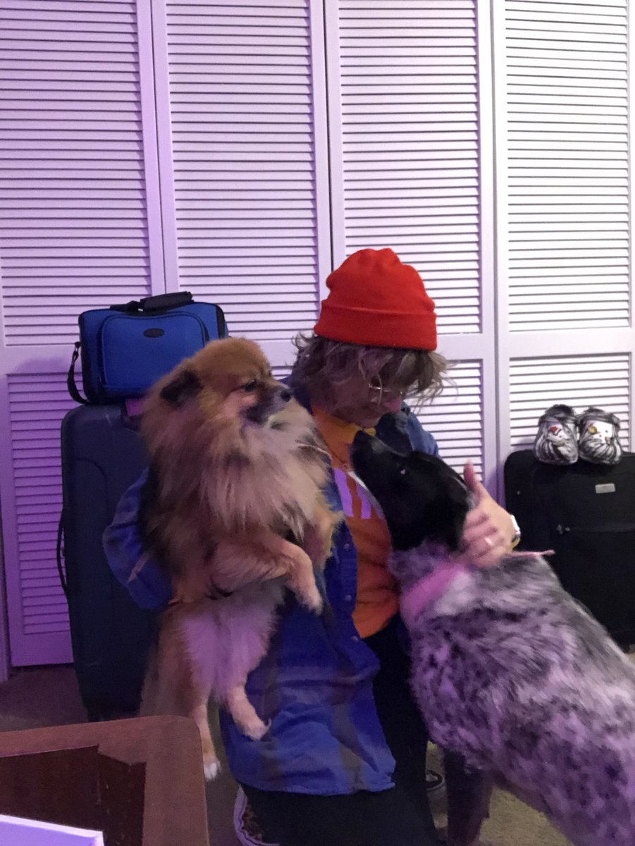 bug_lady11tv's tweet photo. This morning leaving, I was taking my travel selfie 🤳 , and this happened. Thought it was sweet. 🥺 I’ll sure miss them. #dogmom #goingtomiami https://t.co/fkZb8HHJs1