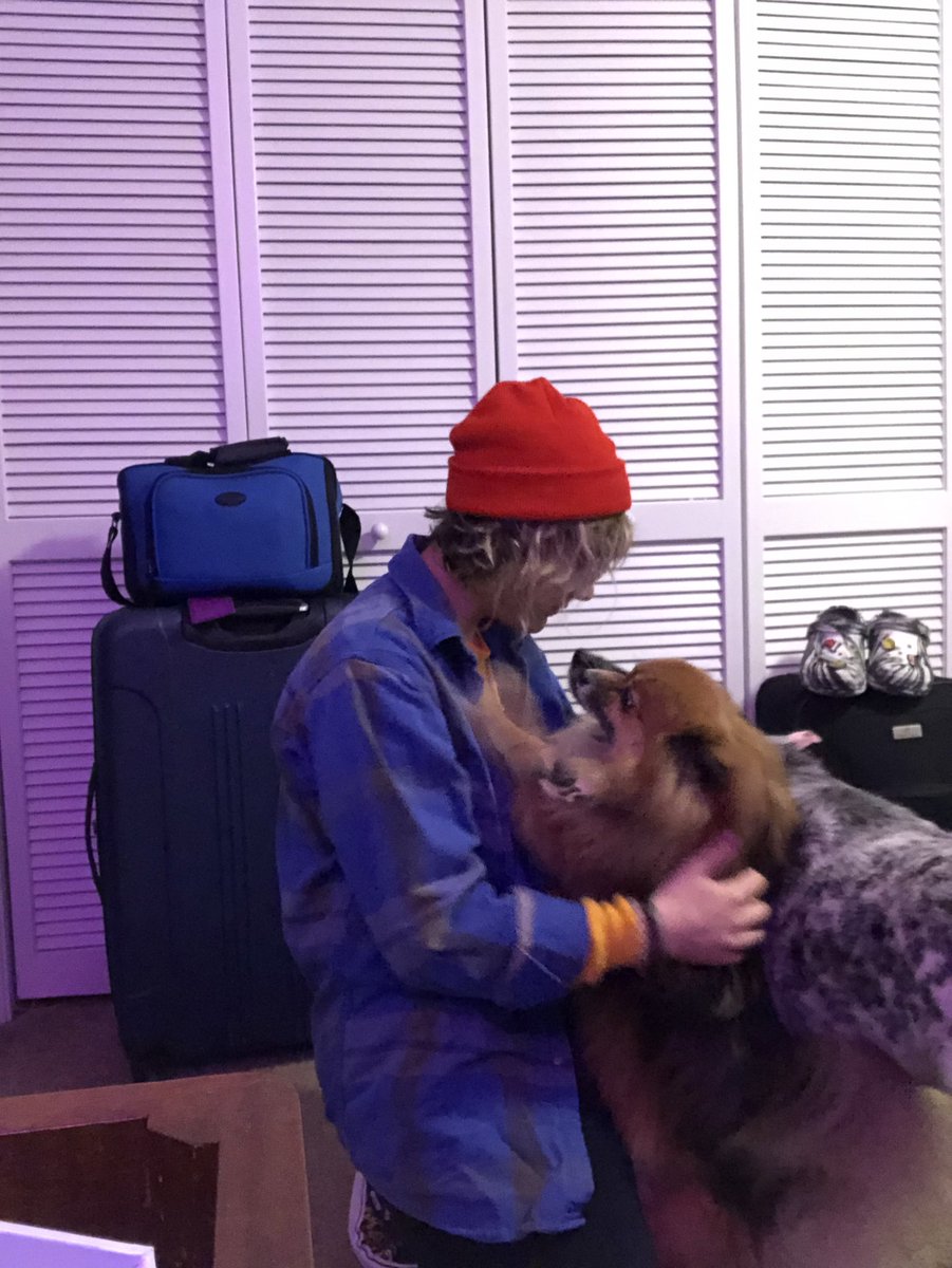 bug_lady11tv's tweet photo. This morning leaving, I was taking my travel selfie 🤳 , and this happened. Thought it was sweet. 🥺 I’ll sure miss them. #dogmom #goingtomiami https://t.co/fkZb8HHJs1