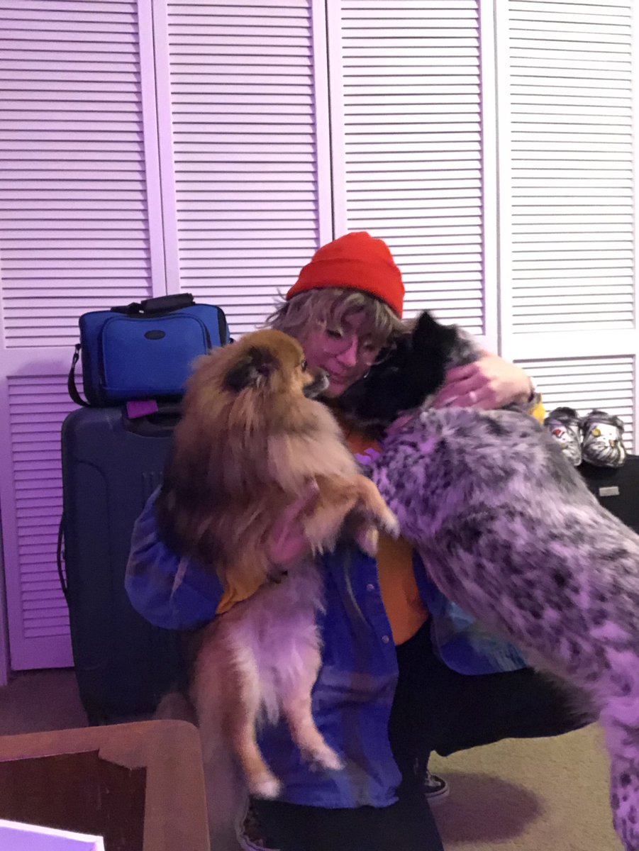 bug_lady11tv's tweet photo. This morning leaving, I was taking my travel selfie 🤳 , and this happened. Thought it was sweet. 🥺 I’ll sure miss them. #dogmom #goingtomiami https://t.co/fkZb8HHJs1