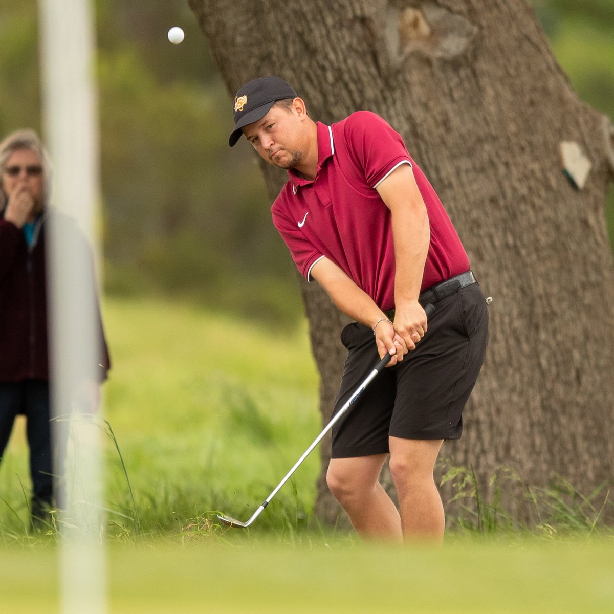 MSUMustangs's tweet photo. ⛳️ | Midwestern State falls to UT Tyler in LSC Medal Match semifinals, awaits NCAA postseason selection #StangGang

🔗https://t.co/jFwJccVbNk https://t.co/R4GJjxdHo2
