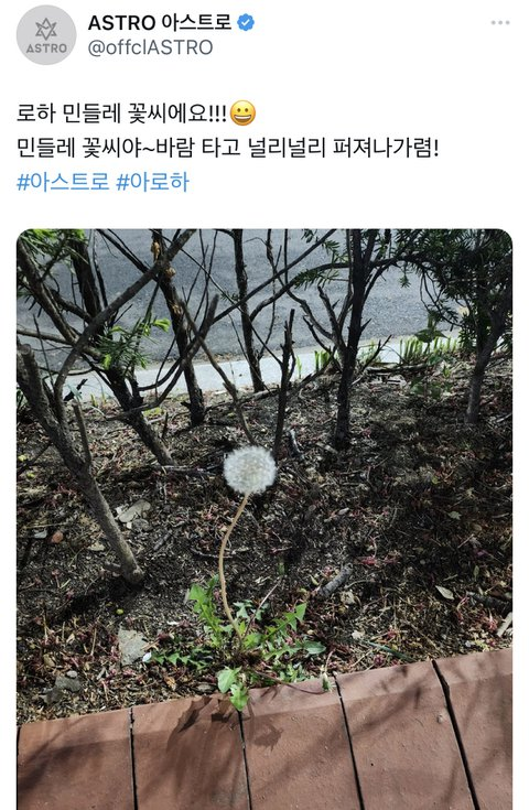 pannchoa's tweet photo. Moonbin's final tweet about dandelion seeds flying away
https://t.co/4vteiiVeMs https://t.co/rU9sFUhRoF
