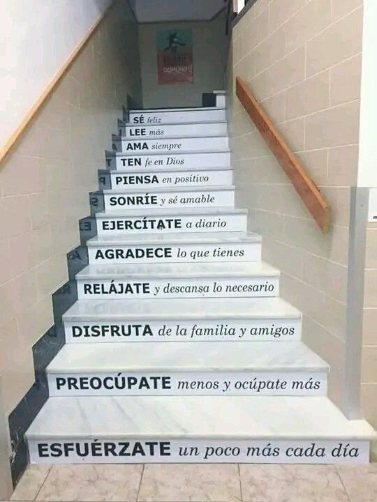 CreceX10's tweet photo. Forma valores y buenos hábitos. 

Son claves para alcanzar el éxito, más allá de las ganancias, determinarán el futuro de tu #emprendimiento.

#CreceporDiez, también desde dentro. https://t.co/nGcOYZIDGP