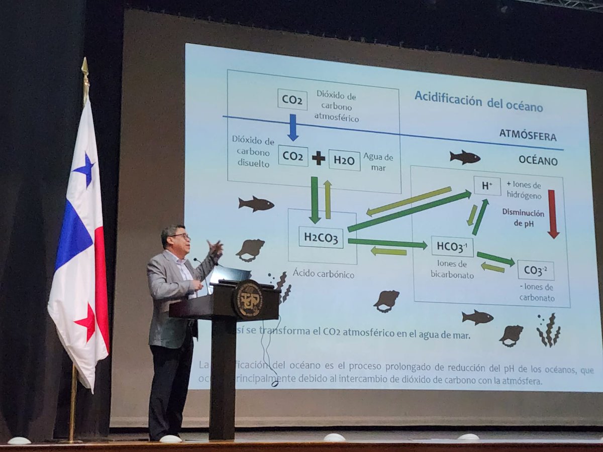 Carlos Vergara-Chen tweet media