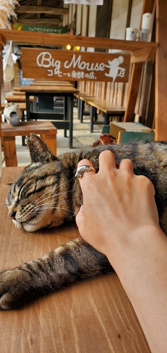 miico_pan's tweet photo. ジュエリー作家をしています。
こちらは中の人の雑多垢です。主に可愛いﾓﾌﾓﾌをいいねしてます。4月から古民家カフェに隣接した制作風景が見えるシェアアトリエに引っ越しました。
近くに来たらのぞいてみてね😊
作家アカウントはこちらです⬇️
@miico_7 https://t.co/pplg1dS3Yt